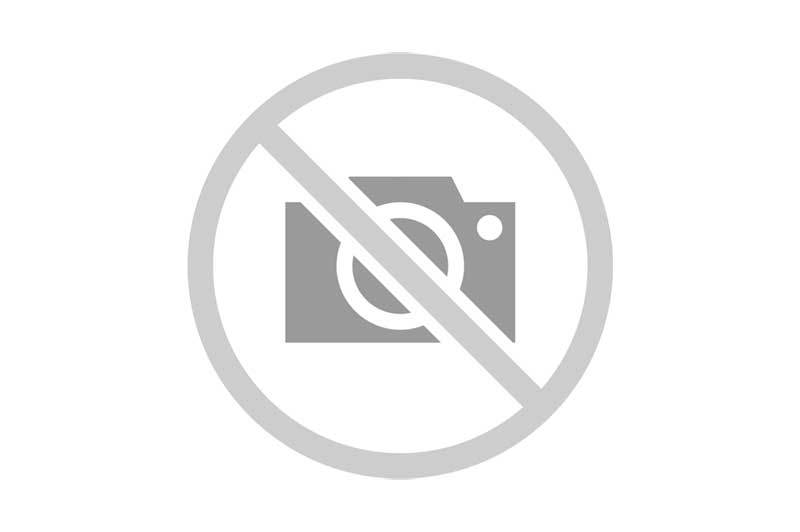 Le dolmen de Lannek-er-Men à Sarzeau