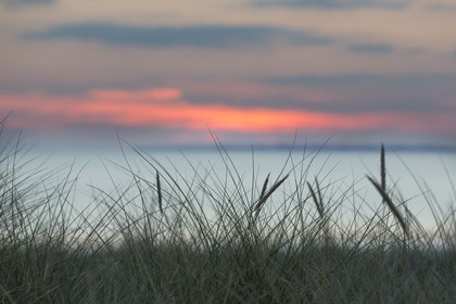 La plage de la Guérite à Plouharnel