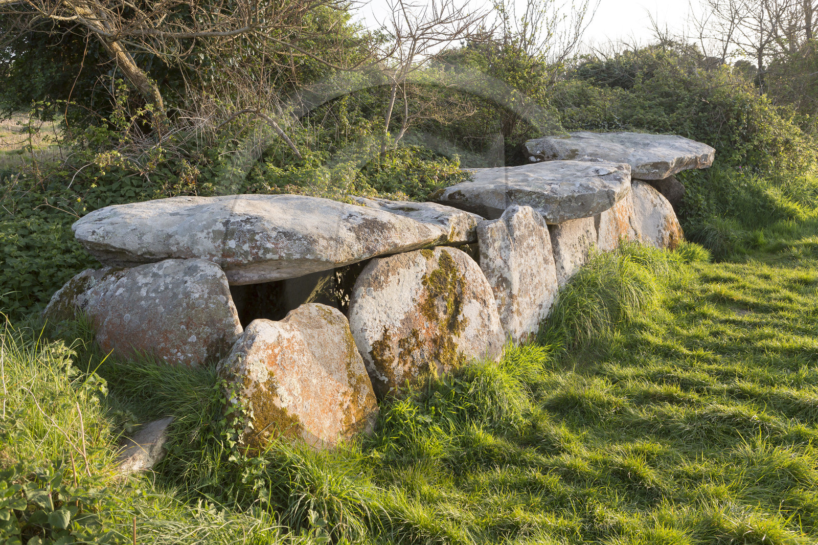 L'allée couverte de Kerguntuil à Trégastel.
