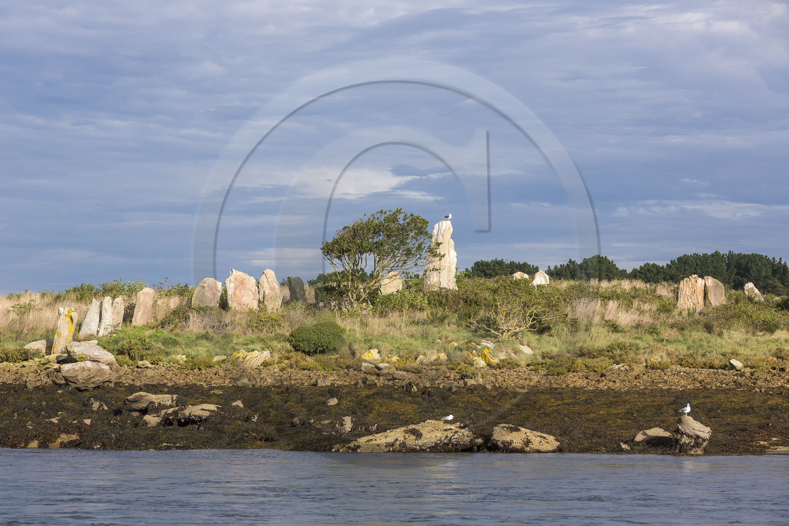 Er Lannic dans le golfe du Morbihan à Arzon