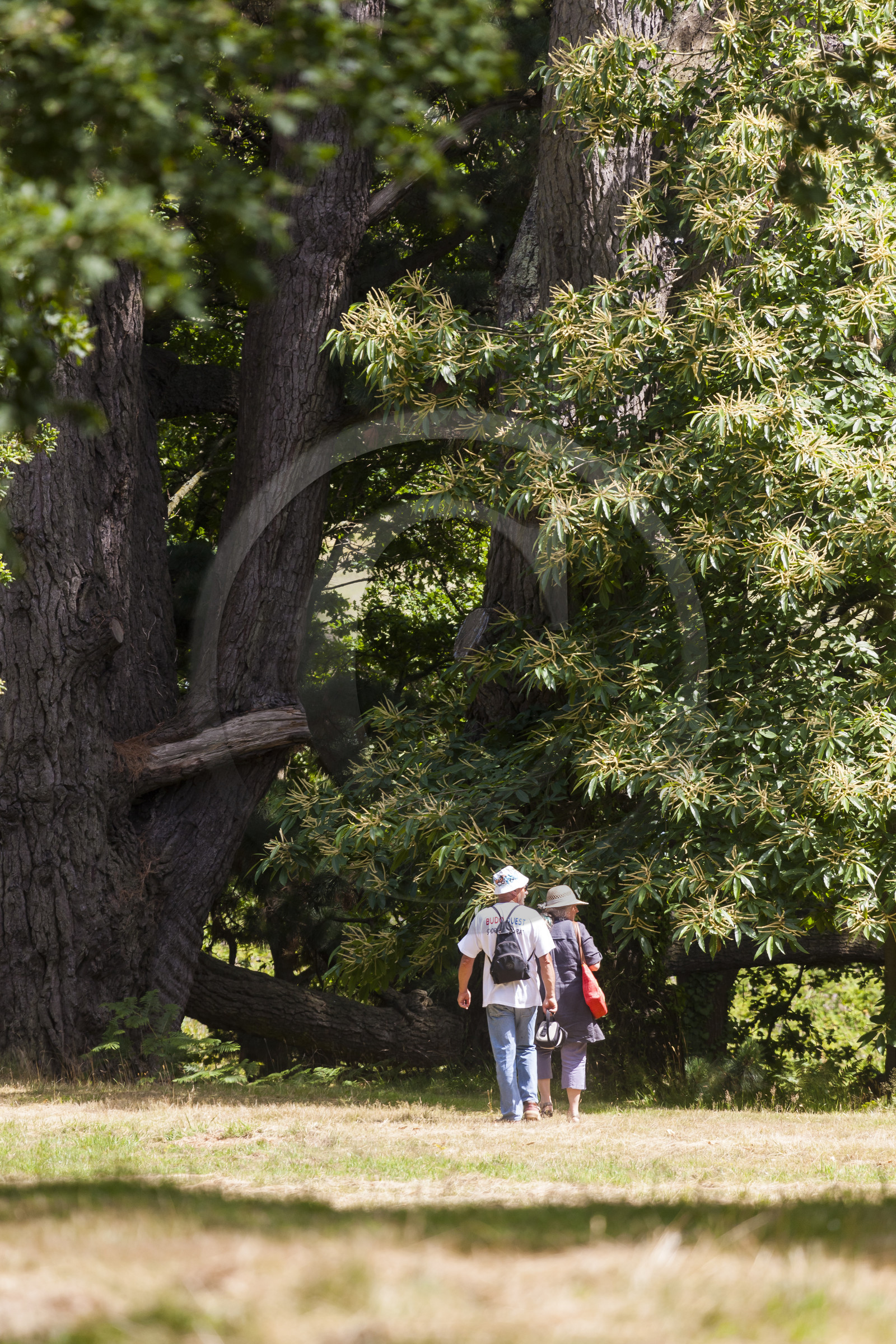 Parc du chateau du diable_Caudan