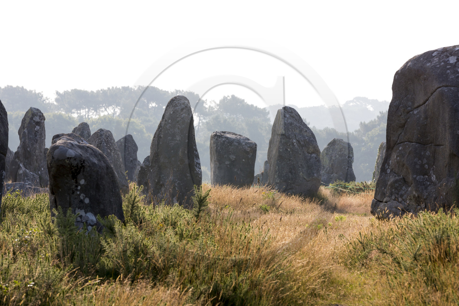 Les alignements de Kermario _ Carnac