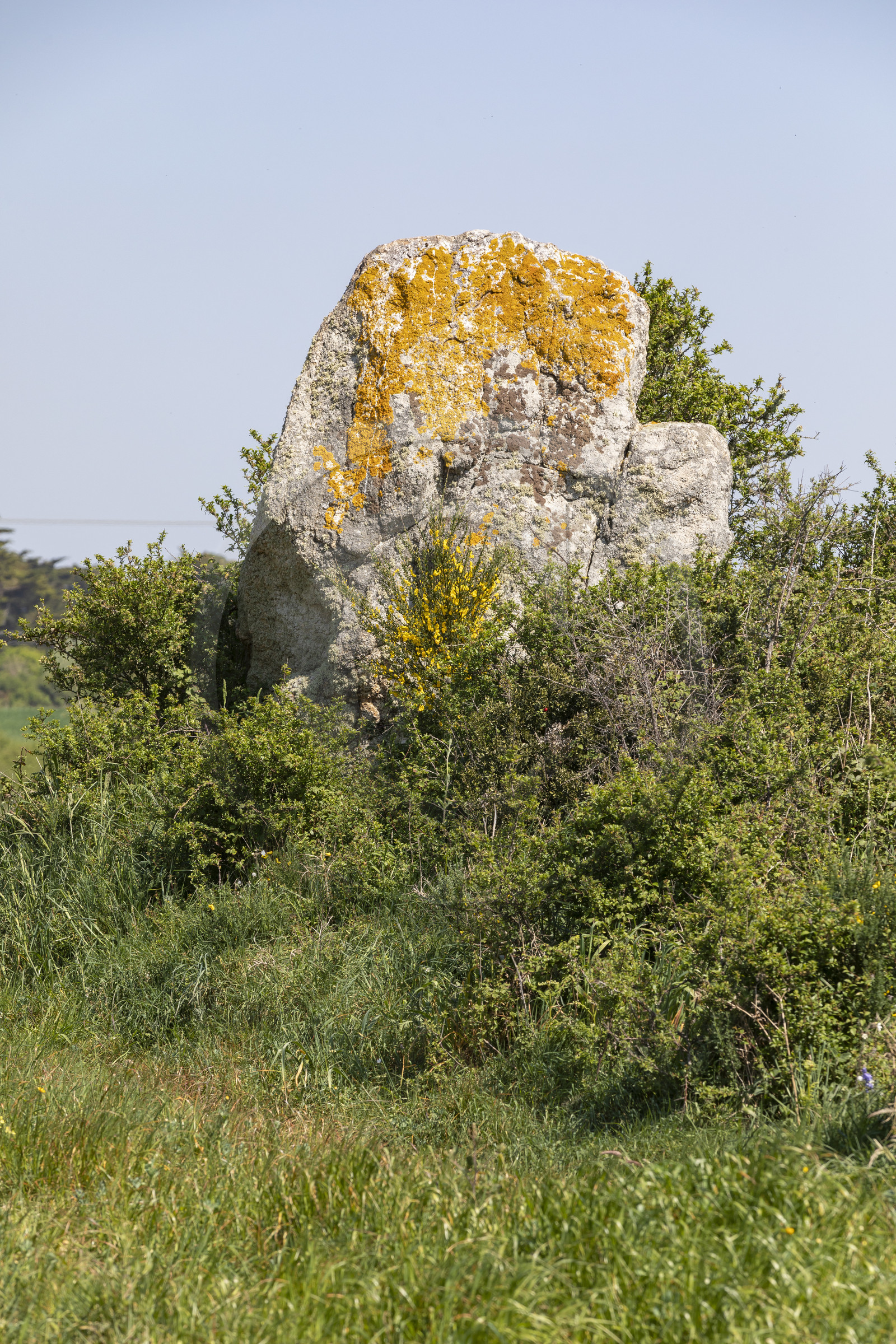 Menhir du net. Saint-Gildas-de-Rhuys
