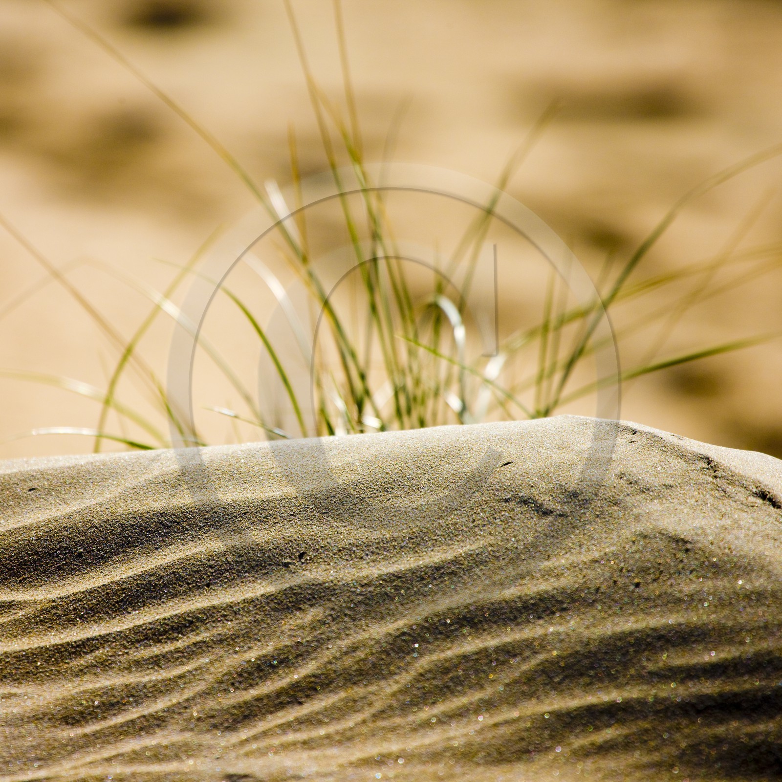 Jeux de lumière dans les dunes de sable d'Erdeven