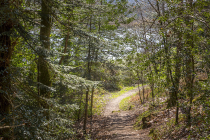 Paysage en bordure du Scorff. Pont-Scorff