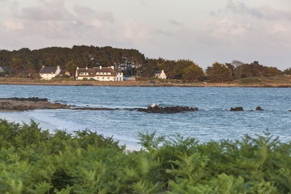 Le site de Kervillen _ La Trinite sur Mer