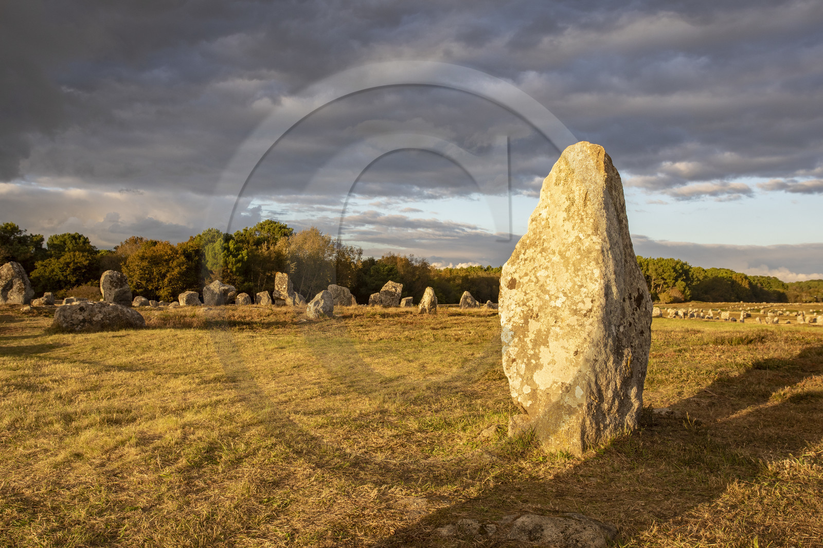 Les alignements du Ménec à Carnac