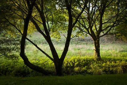 Guidel _ La vallee de la pitie