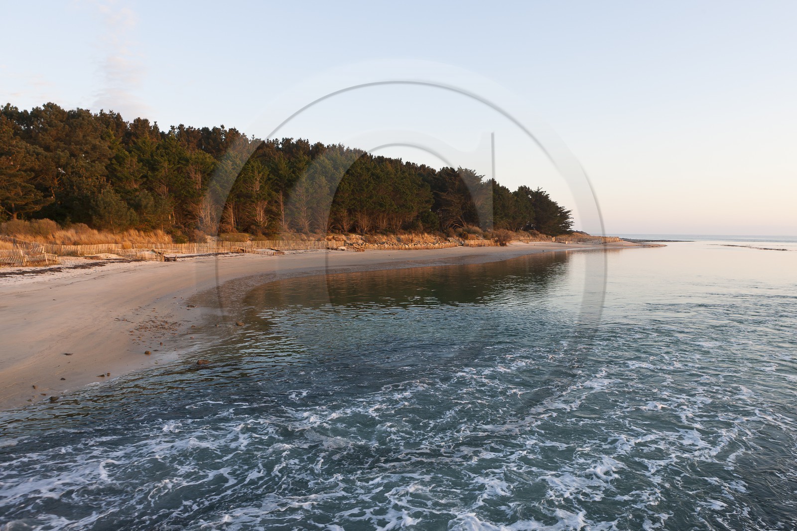 bois du Poulbert _ la Trinite sur mer