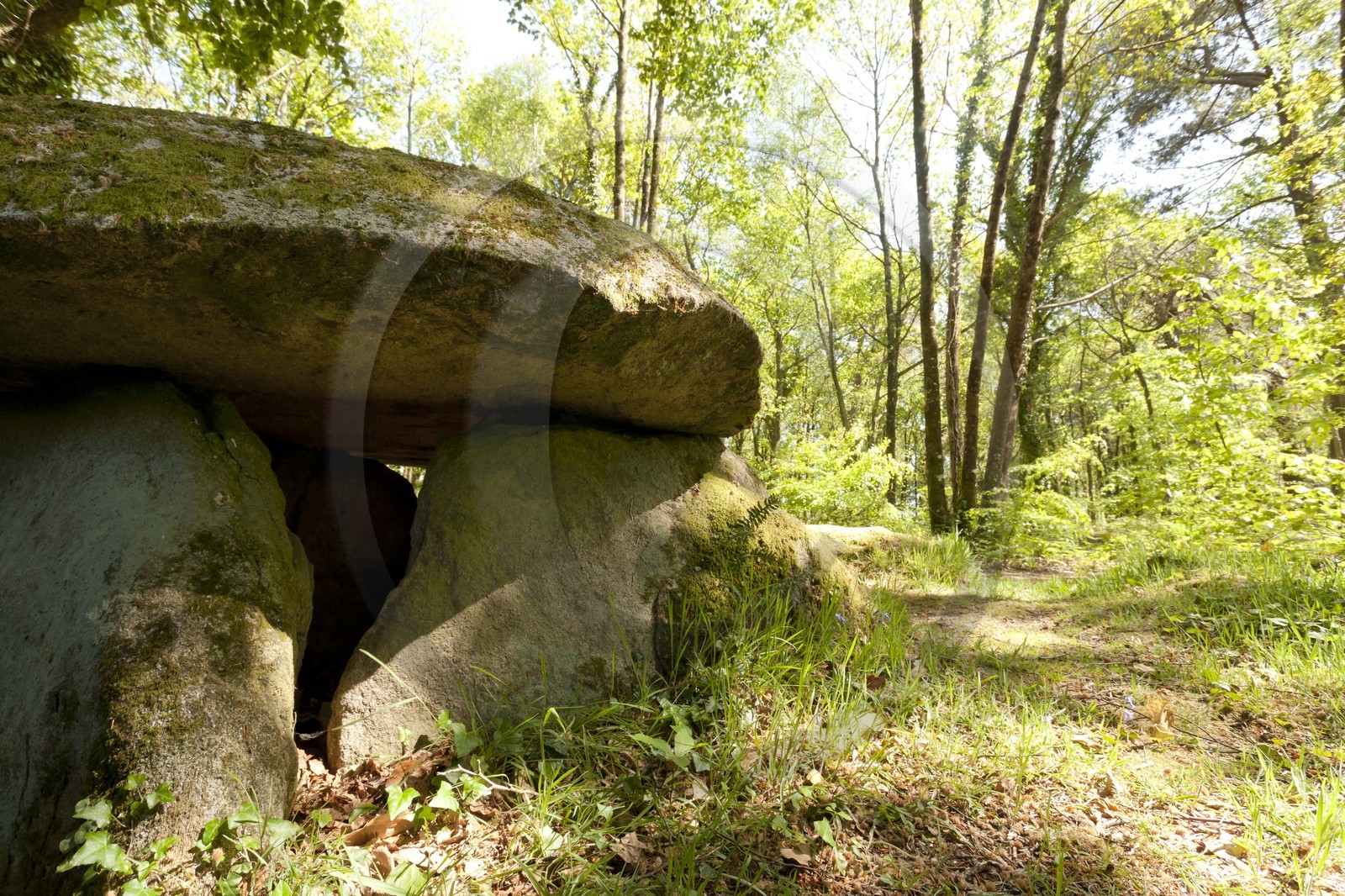 Dolmen de Lesvariel _ Guidel
