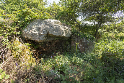 Allée couverte du Net _ Saint-Gildas-de-Rhuys