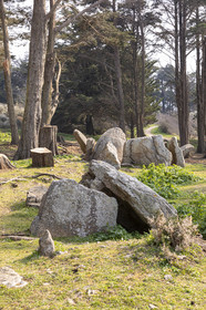 Site mégalithique de Pen Liouse