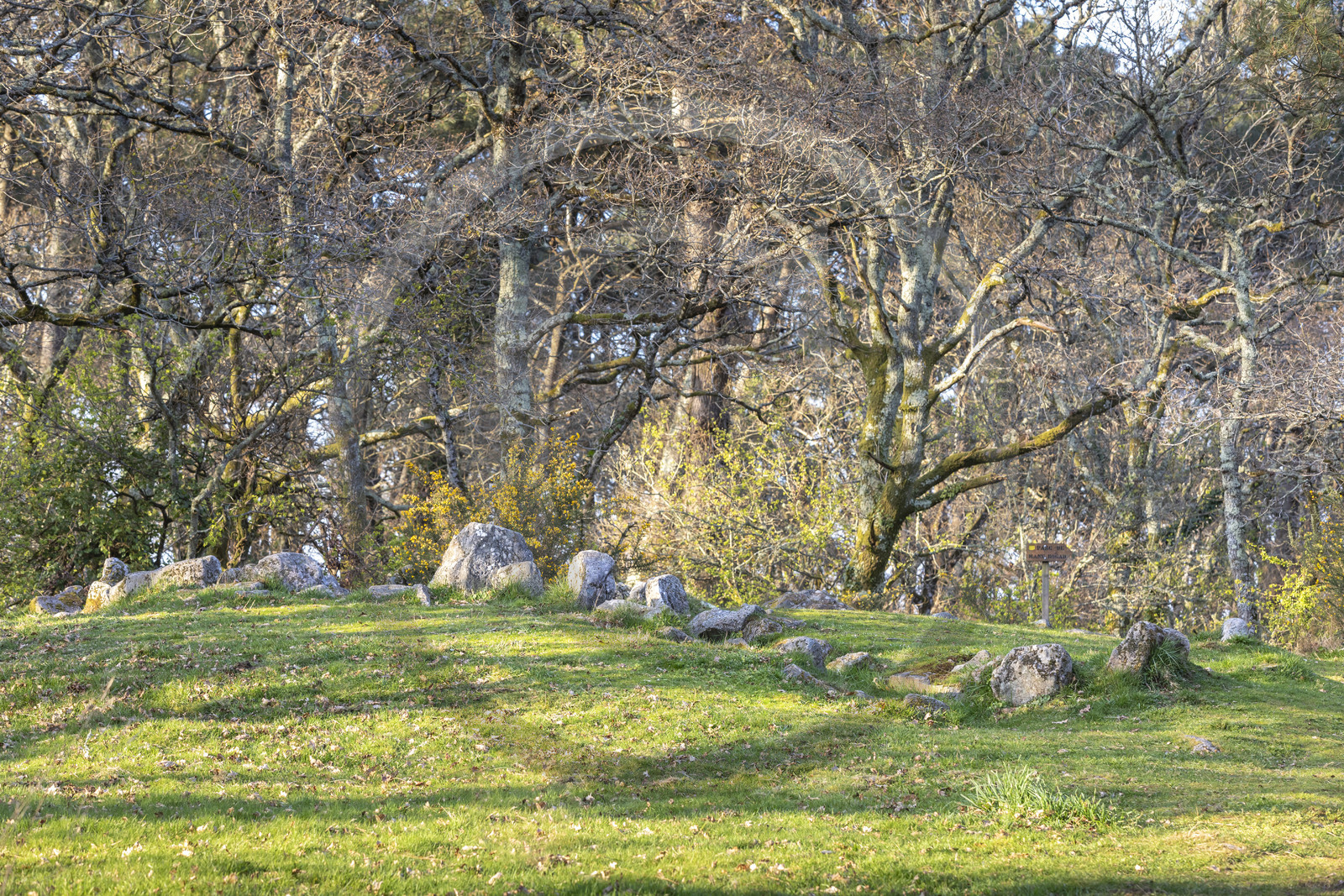 Le site mégalithiques de Mané Bogad à Ploemel