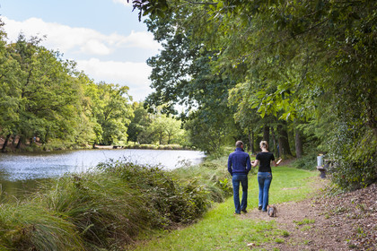 Etang de Kergoff à Caudan