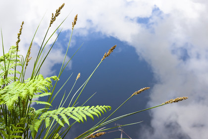 Etang de Kergoff à Caudan