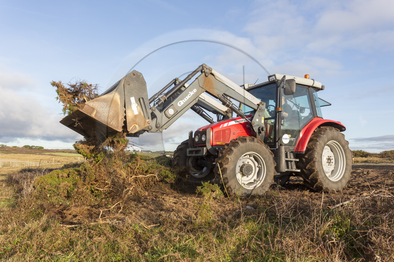 Dune grise _ Le Loch à Guidel