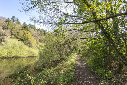 Paysage en bordure du Scorff. Pont-Scorff