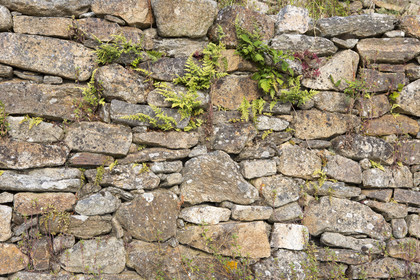 Le cairn du Petit Mont _ Arzon