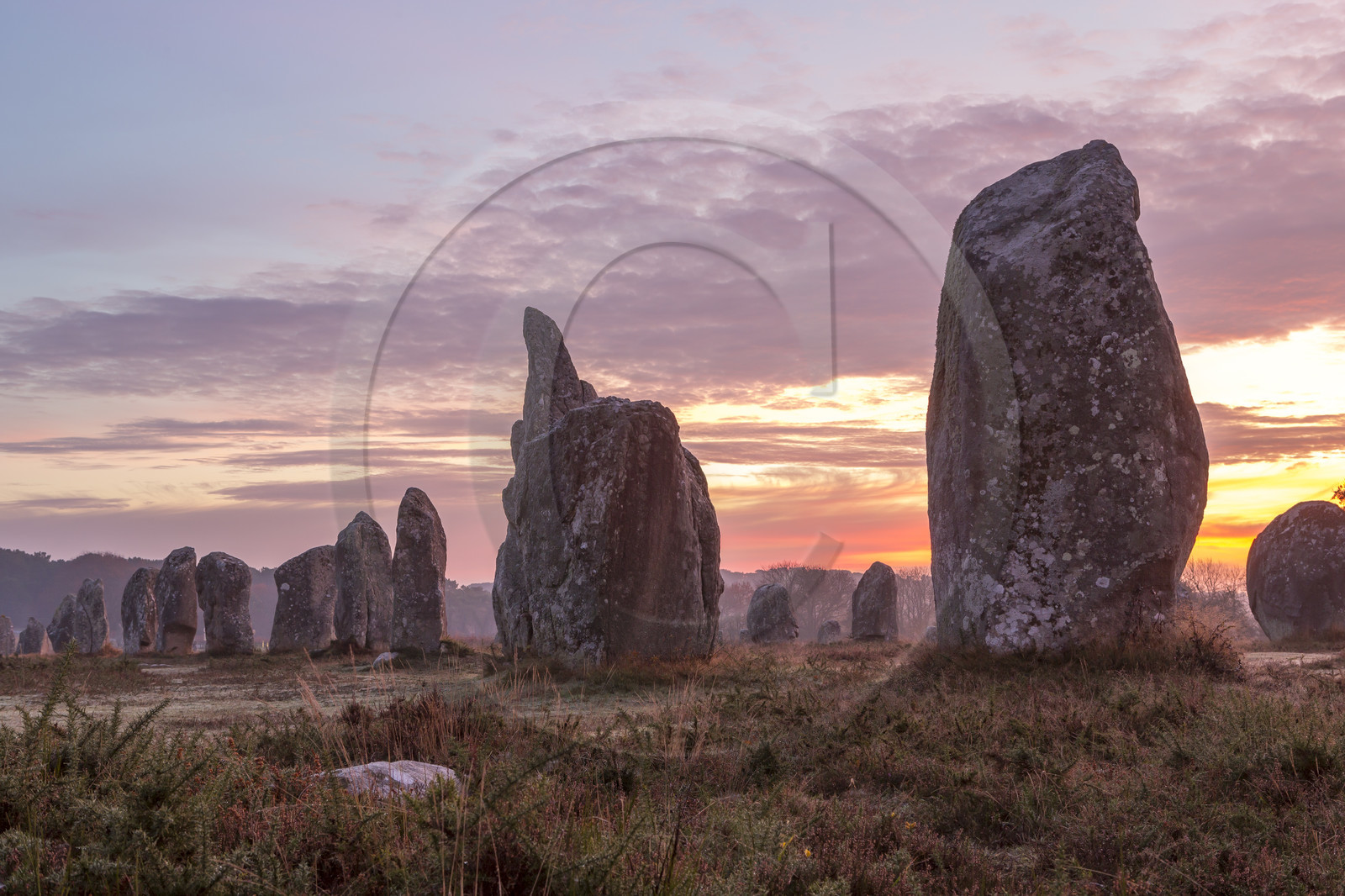 Alignements de Kerlescan à Carnac