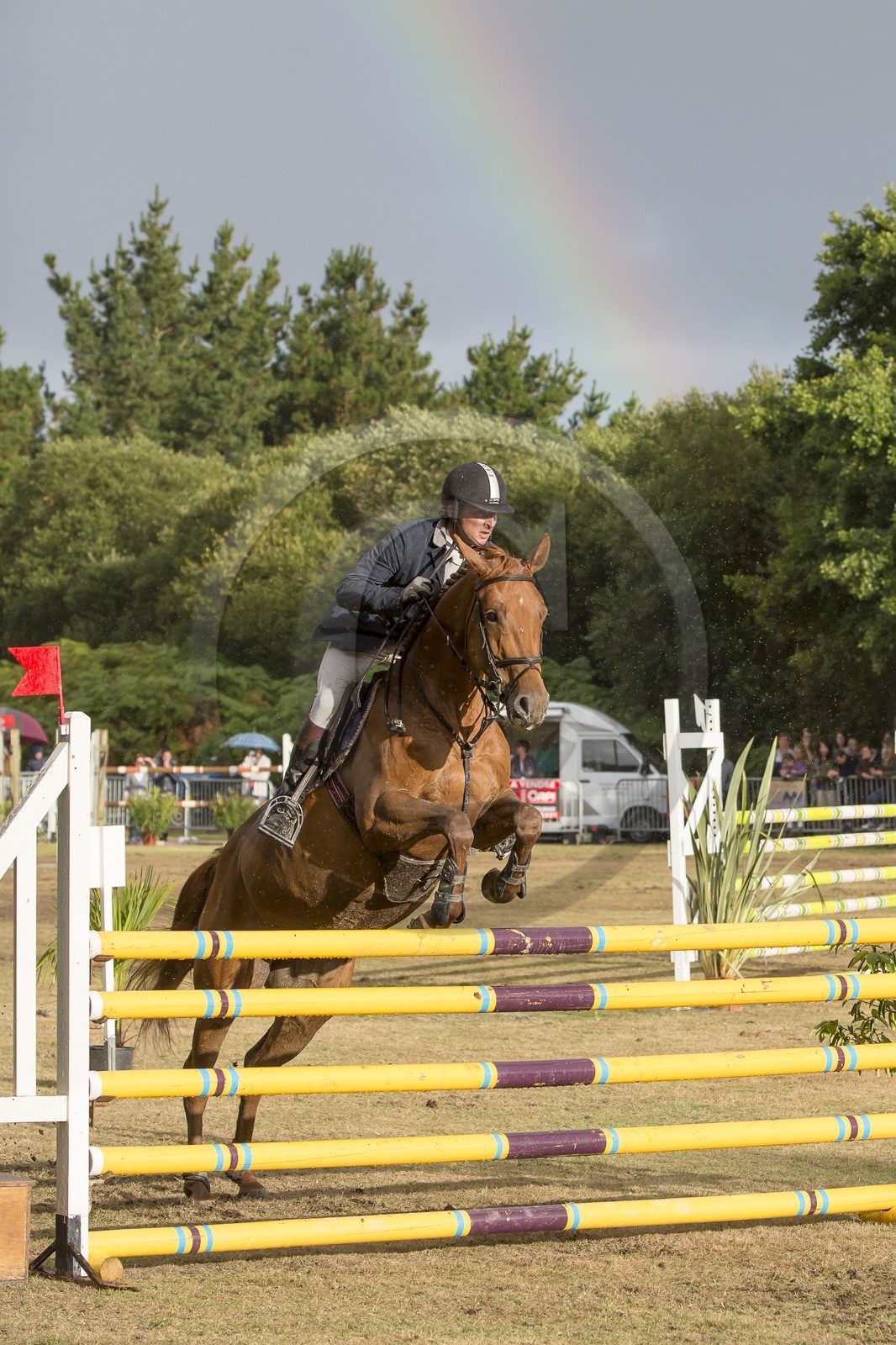 concours equestre _ la Trinite sur Mer ( 56 )