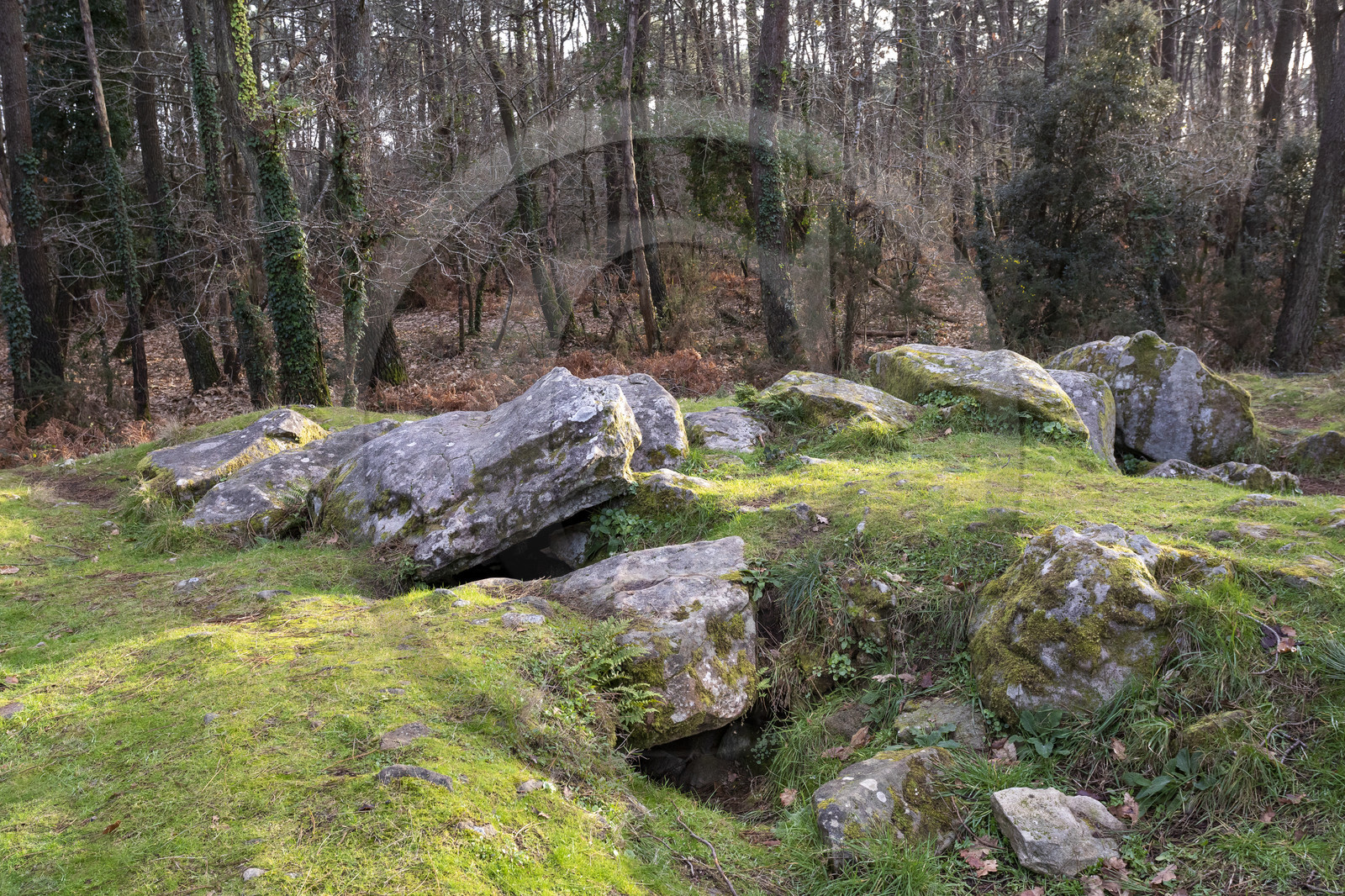 Le dolmen de Mané-Ven-Guen ou Toulvern situé à Baden