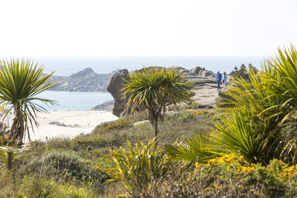 Panorama sur la côte de Tregastel