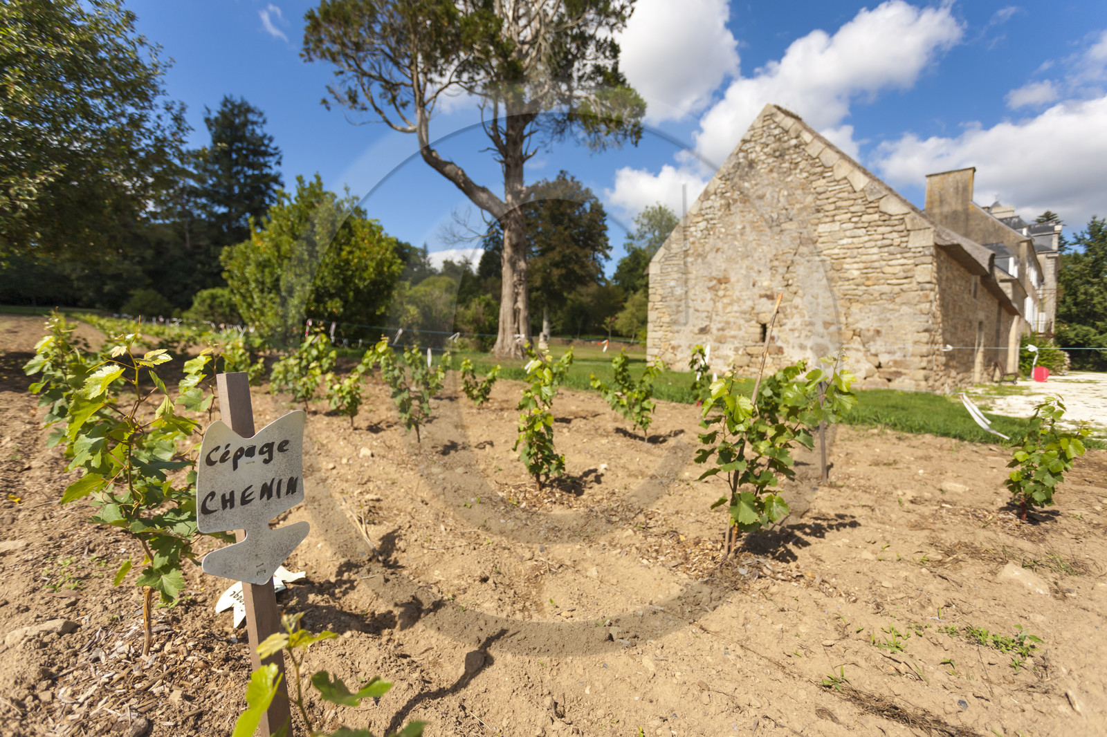 Manoir de St Urchaut_Pont-Scorff