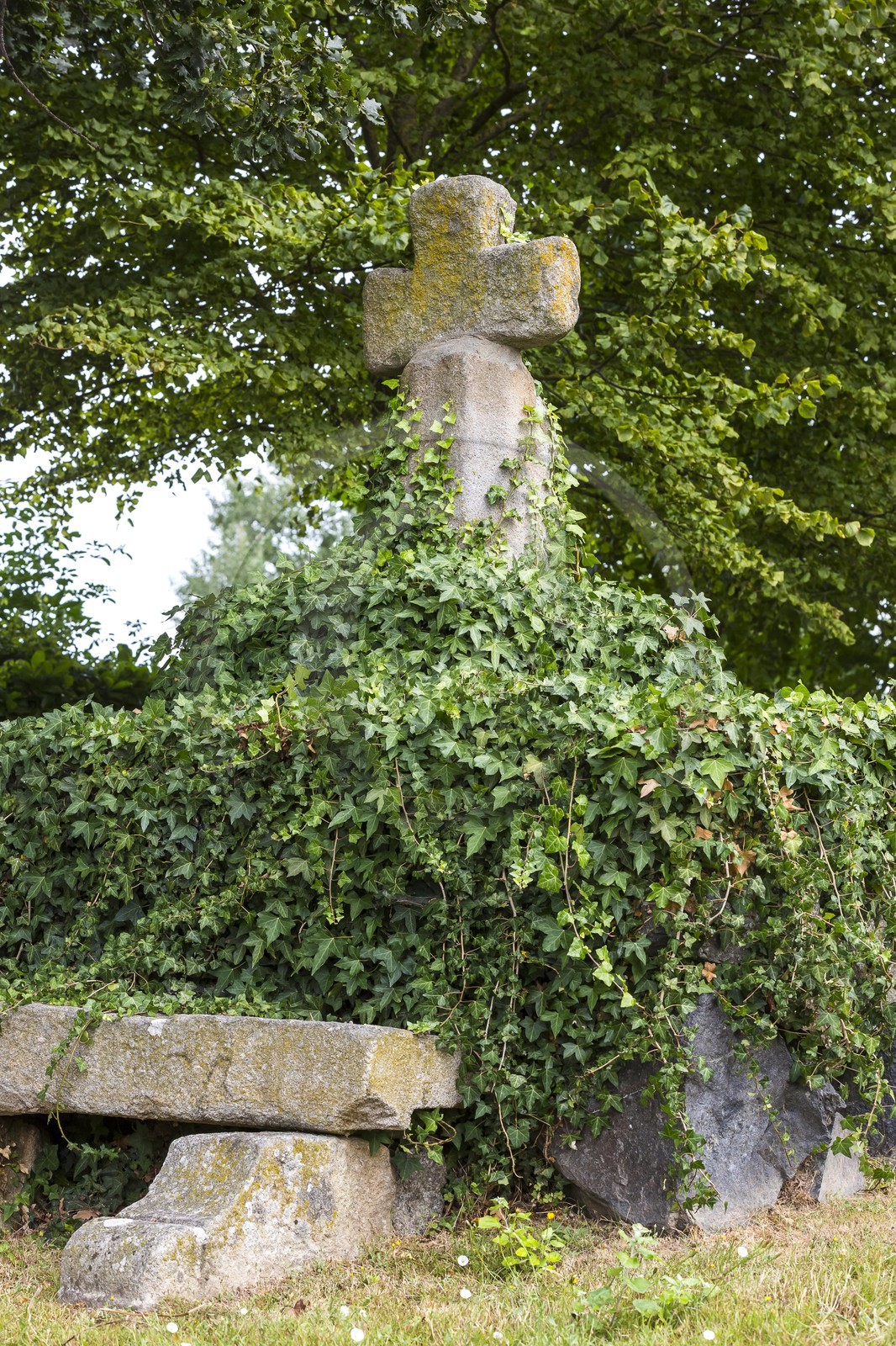 Eglise Notre Dame de Nazareth. Plancoët