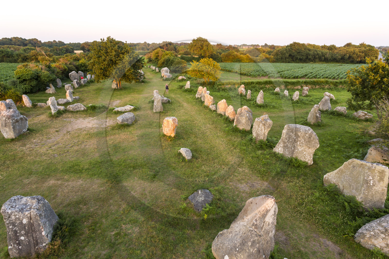 Alignements de Kerzerho _ Erdeven