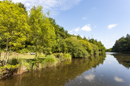 Etang de Kergoff à Caudan