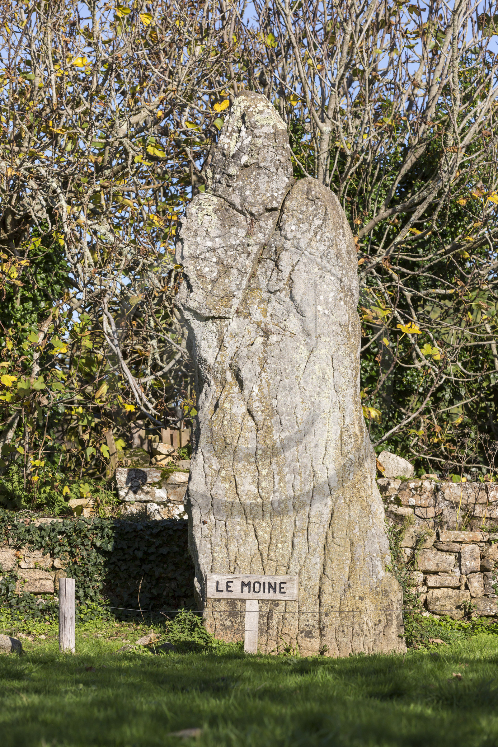 Site mégalithique de Kergonan _ Ile aux moines