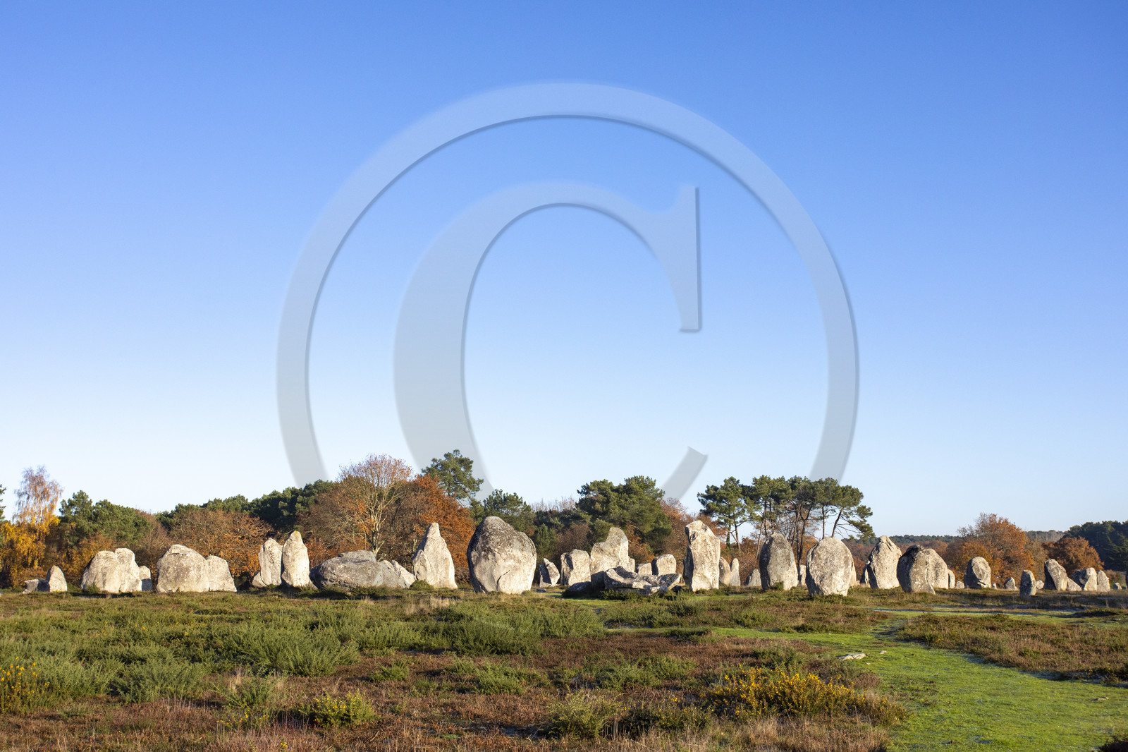 Alignement de Kermario_Carnac