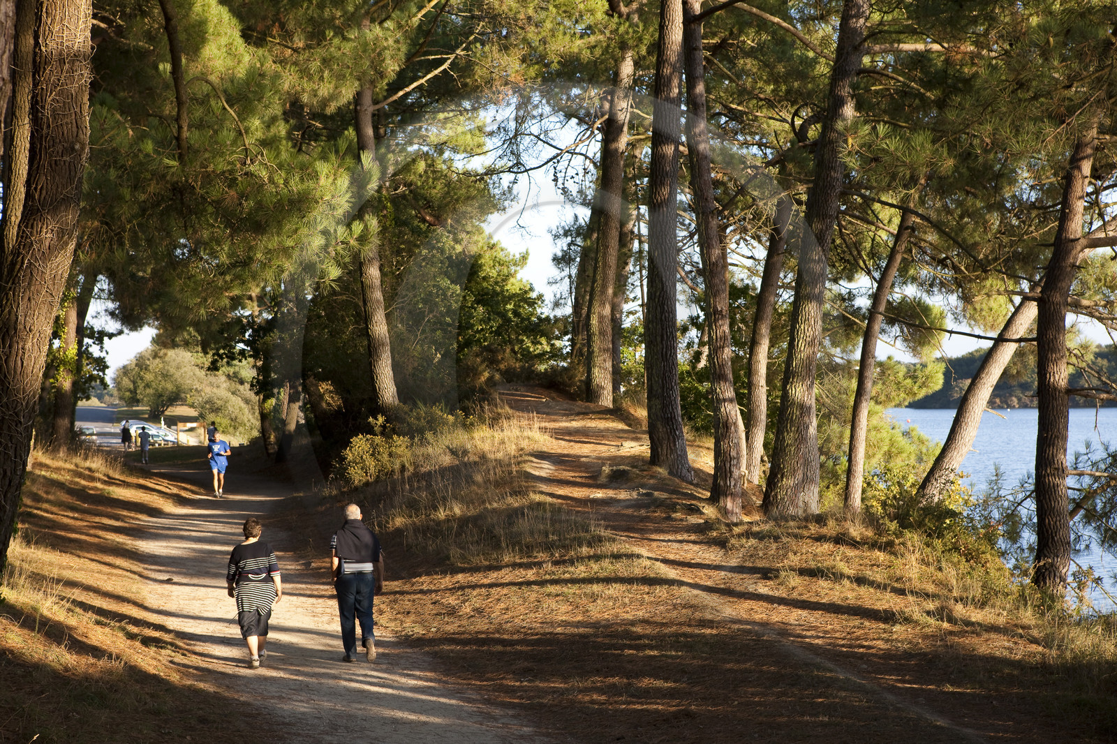 étang du Ter à Ploemeur. Morbihan_France