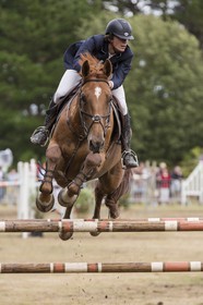concours equestre _ la Trinite sur Mer ( 56 )