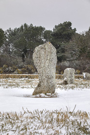 20210211_Carnac_19A8044