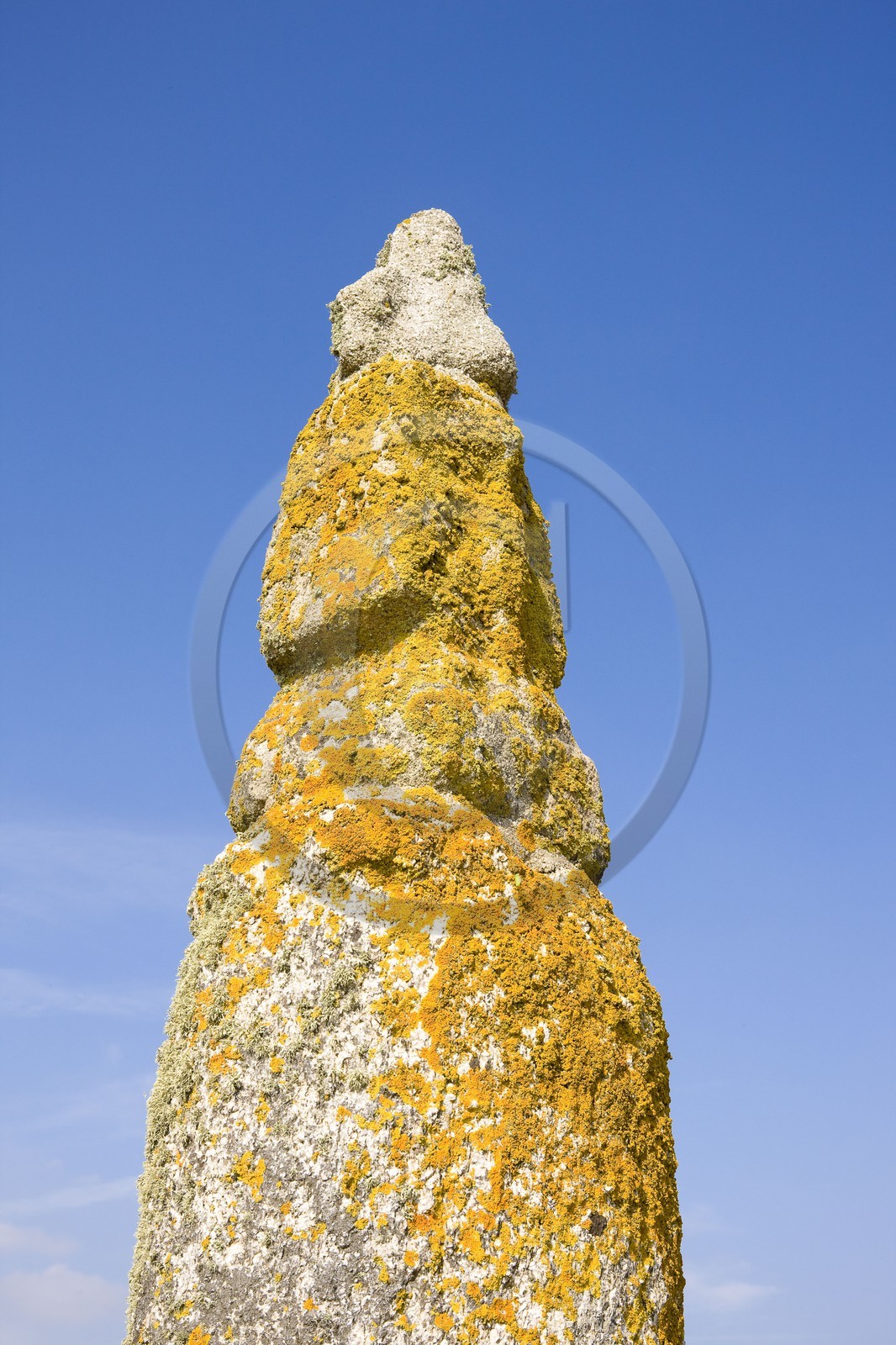 Quenouille Ste Brigitte. Locoal Mendon_Morbihan