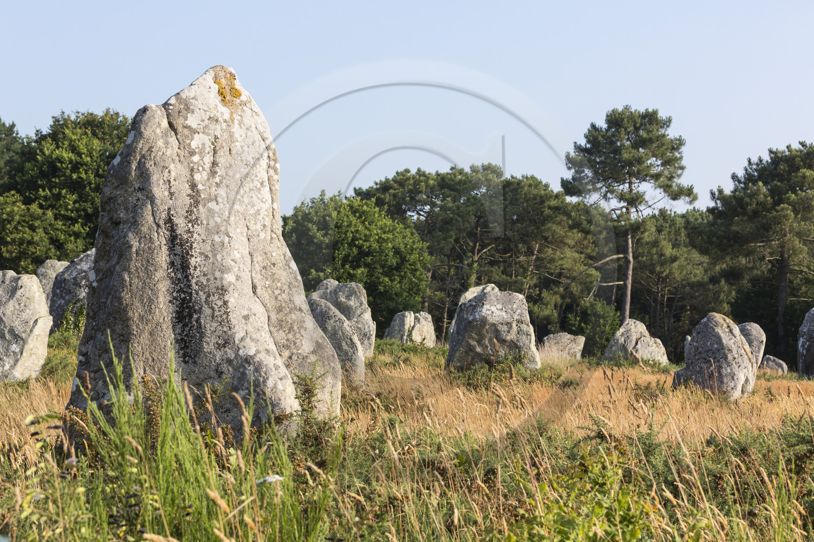 Les alignements de Kermario _ Carnac