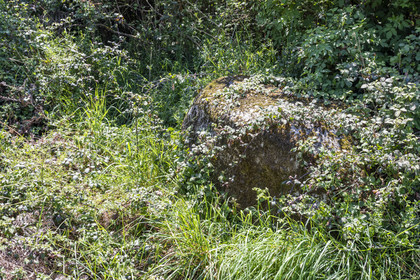 Menhir de Kerbigot à Sarzeau