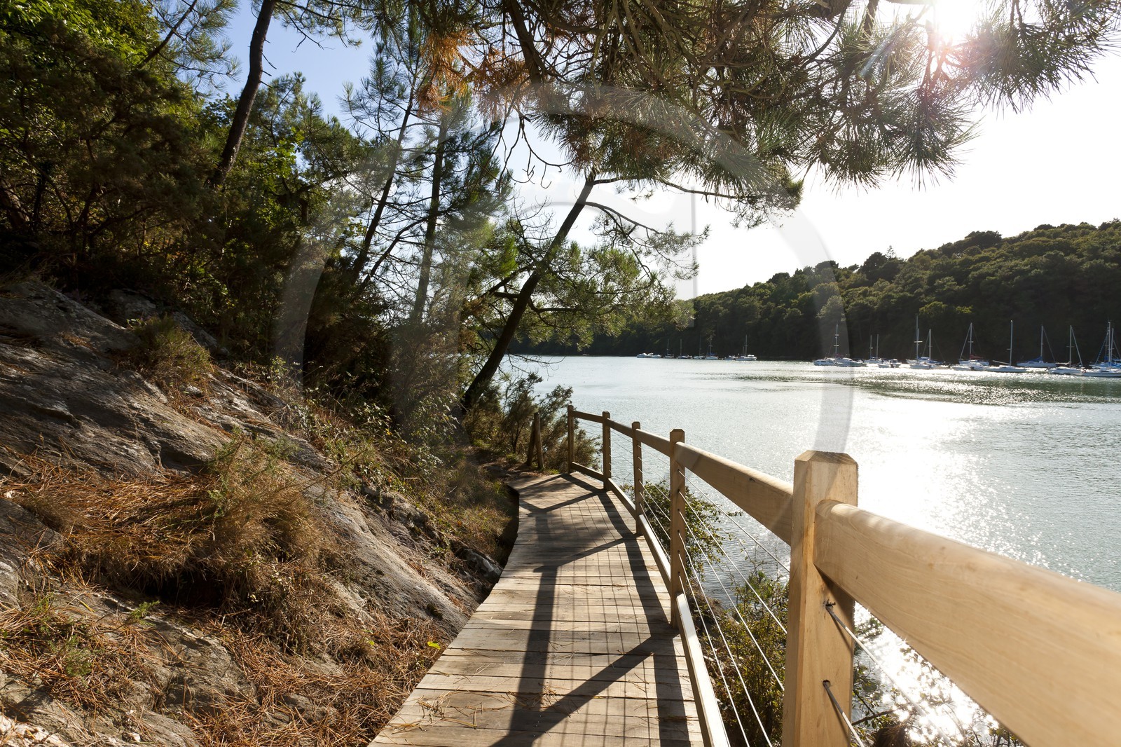 Sentier pedestre en bordure de la Laita_Guidel