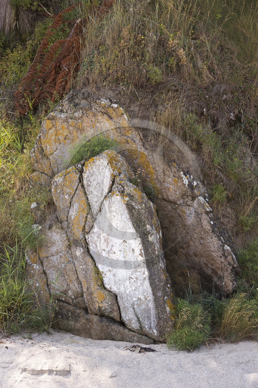 Le Saint Awawa sur la plage du Rougeret à Saint-Jacut de la Mer ( 22 ).