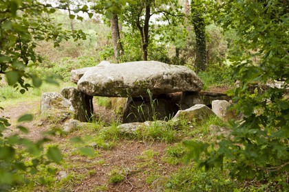LE DOLMEN DE KERMARQUER