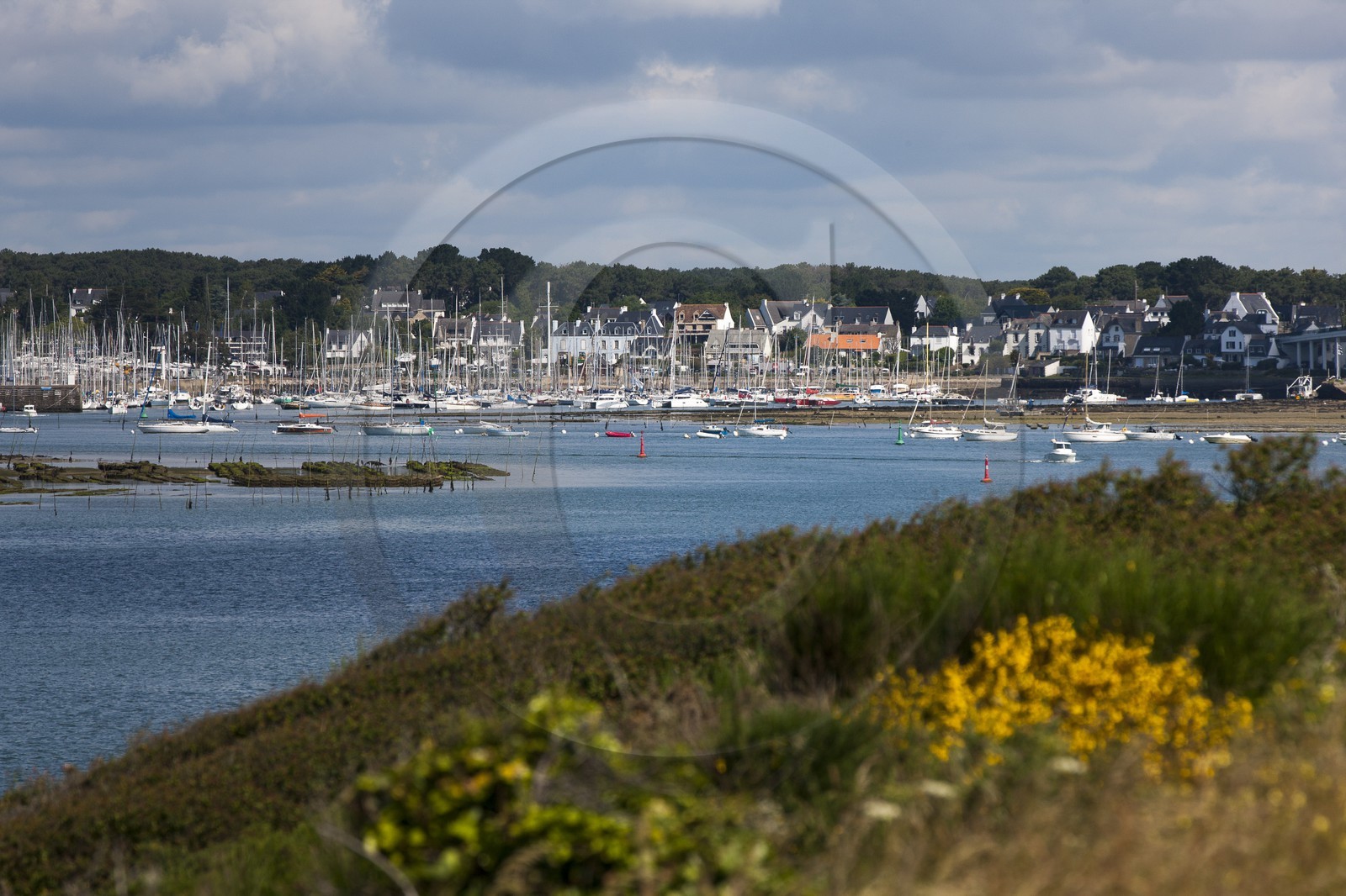 La riviere de Crach depuis Saint-Philibert.