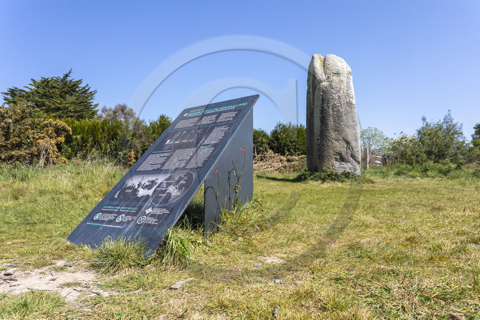 Le menhir de Kermaillard à Sarzeau