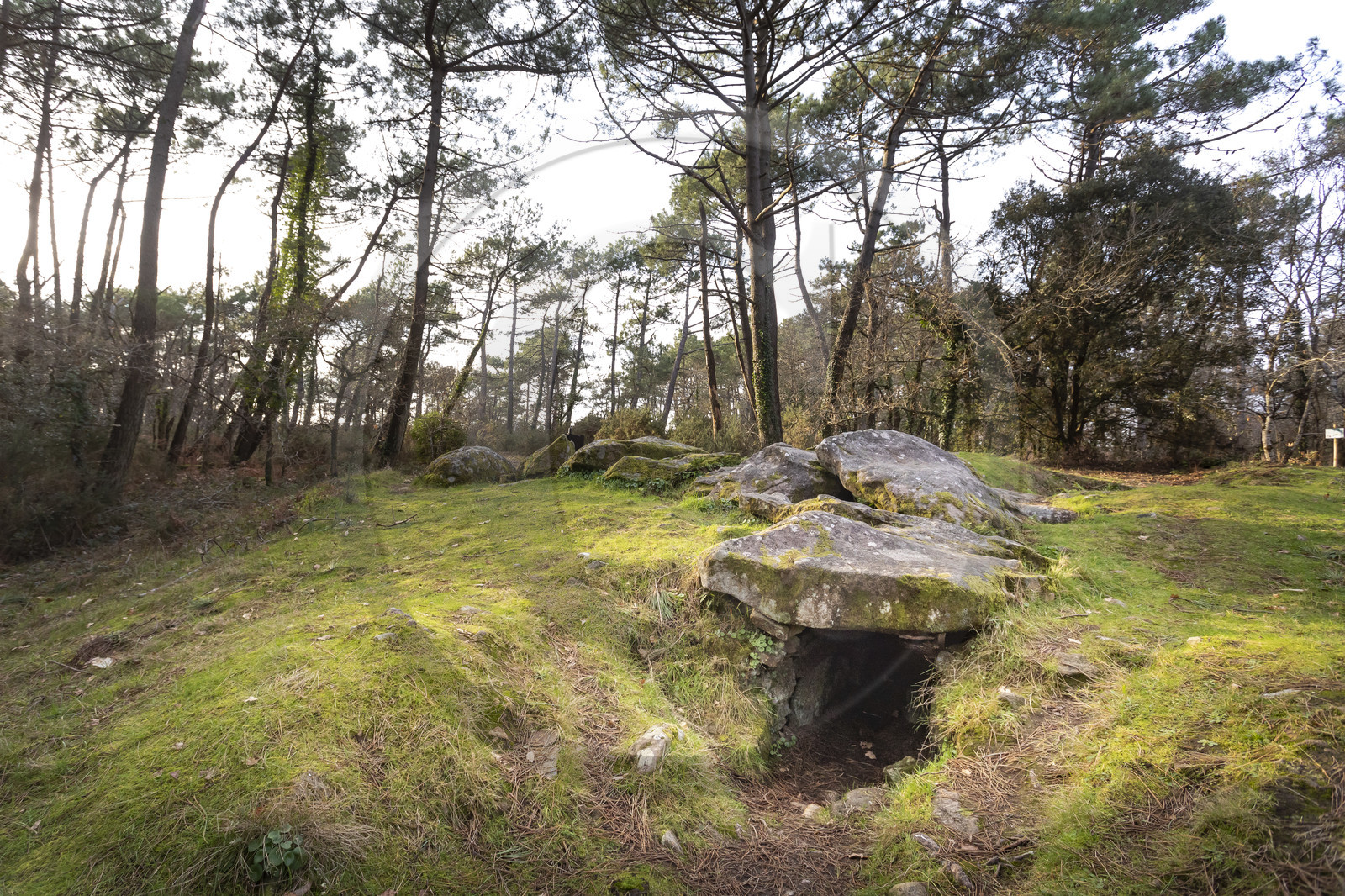 Le dolmen de Mané-Ven-Guen ou Toulvern situé à Baden