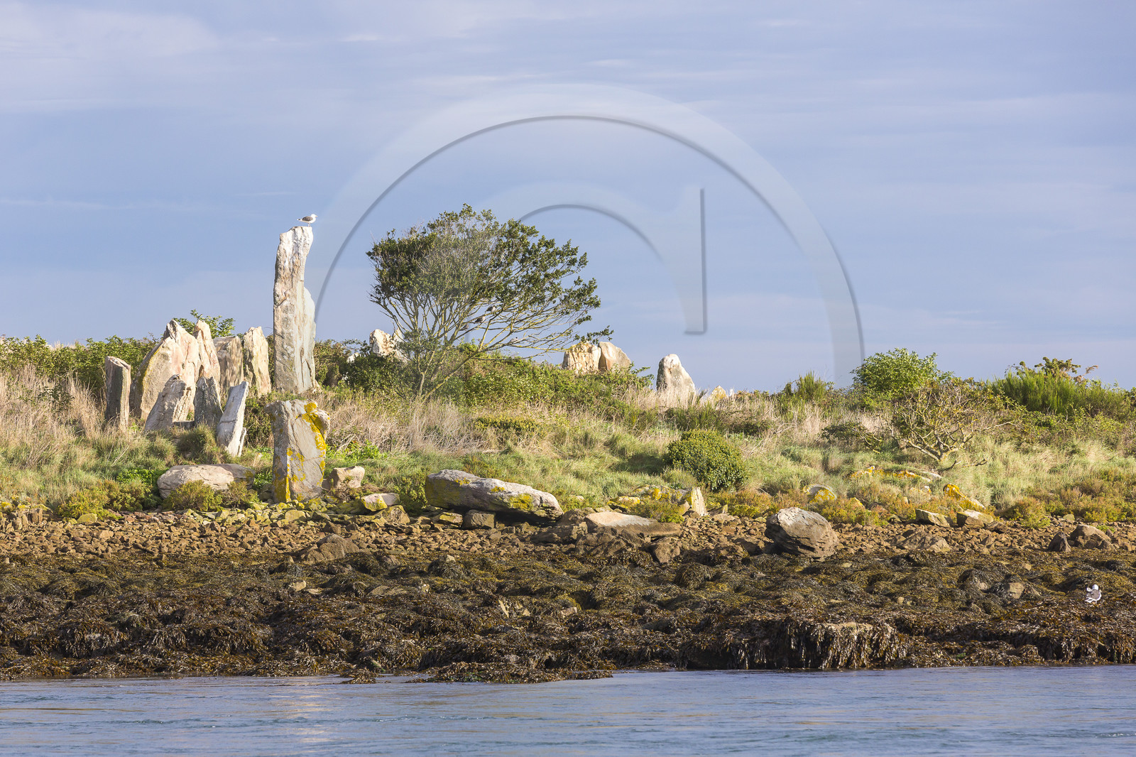 Er Lannic dans le golfe du Morbihan à Arzon