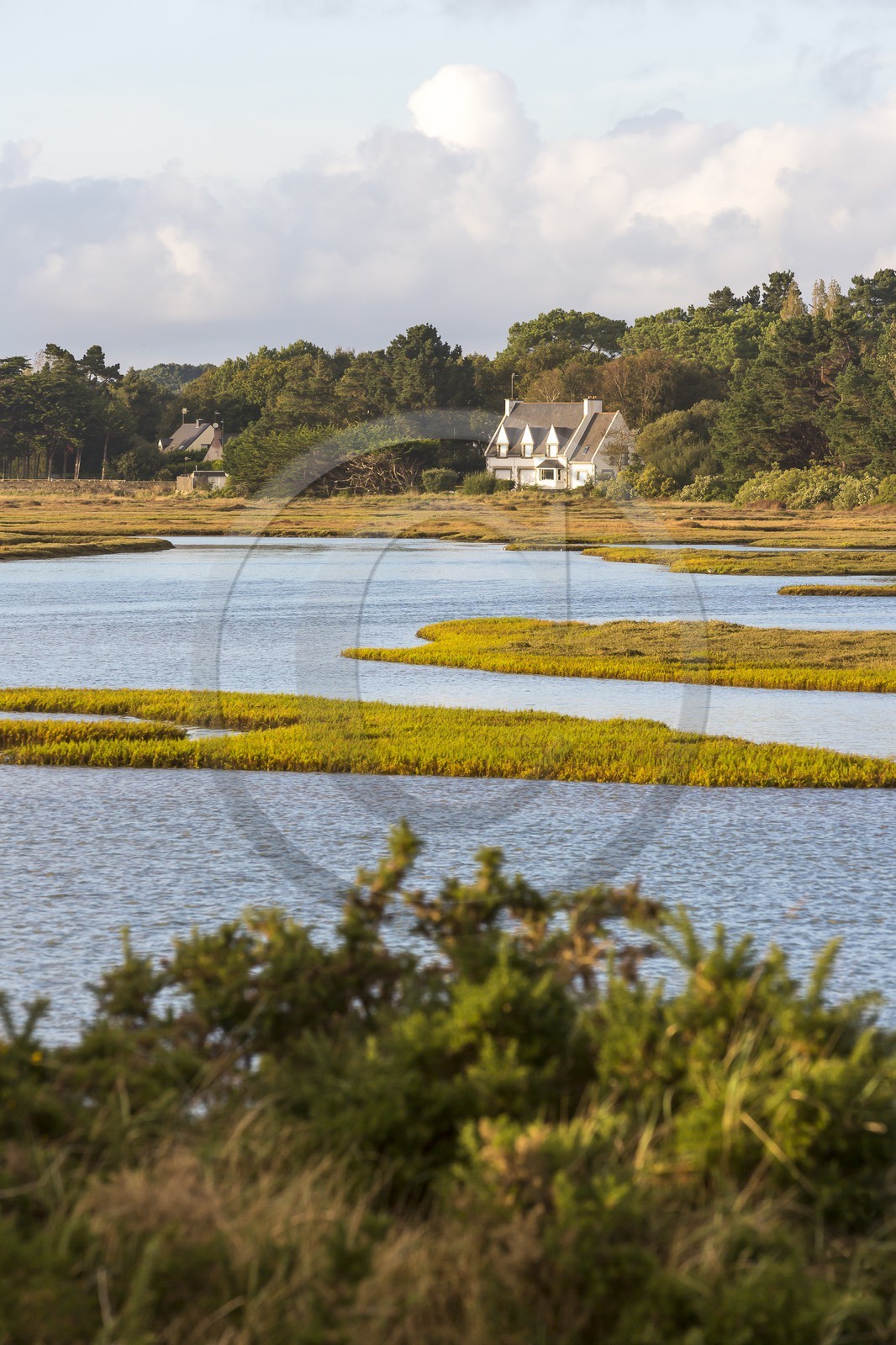 Anse de Kerdual _ La Trinite sur Mer