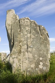 Alignement de Menhirs de Kerzerho à Erdeven (56410).