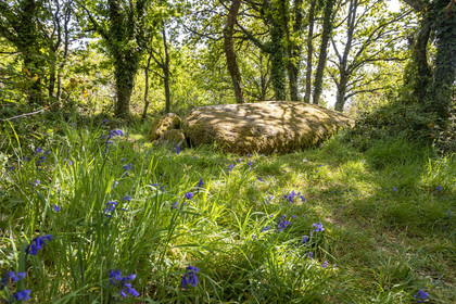 Dolmen de Men Hiaul (Kerblay) à Sarzeau
