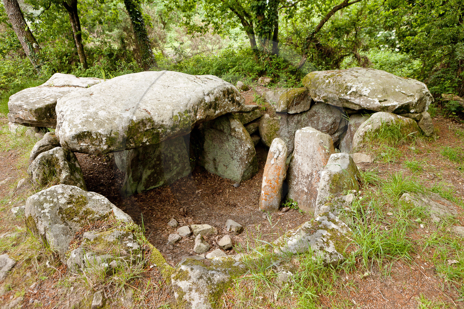Dolmen de Kermarquer à la Trinité sur Mer