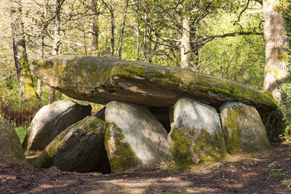 Le dolmen de la Loge au loup à Trédion